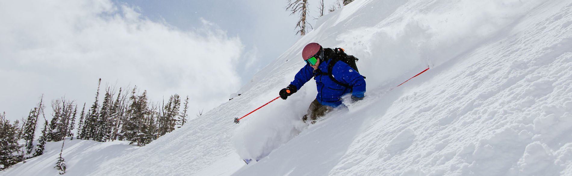 The Skiing Equip Store -The Skiing Equip Store fhjj